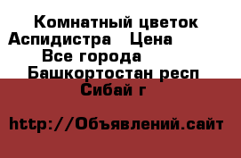 Комнатный цветок Аспидистра › Цена ­ 150 - Все города  »    . Башкортостан респ.,Сибай г.